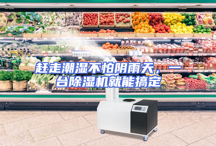 赶走潮湿不怕阴雨天，一台除湿机就能搞定
