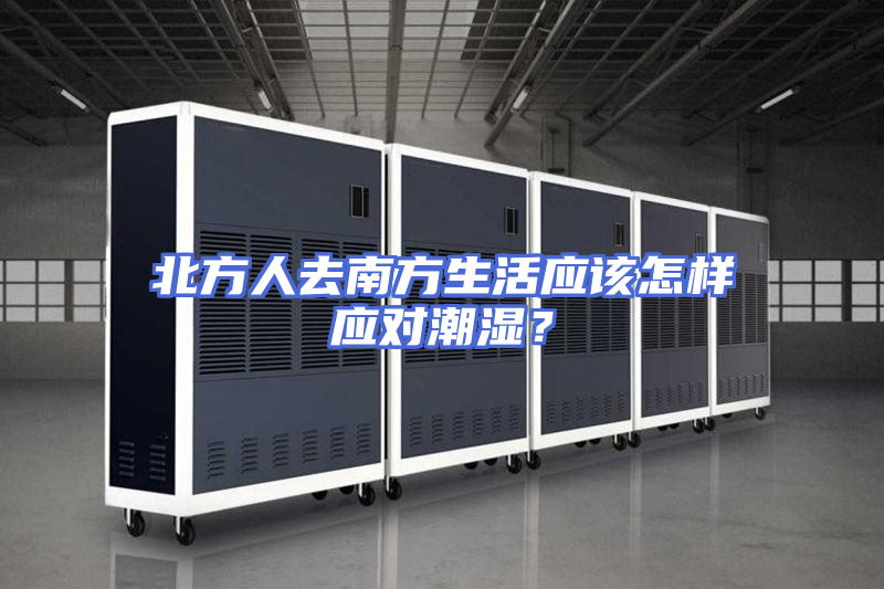 北方人去南方生活应该怎样应对潮湿？