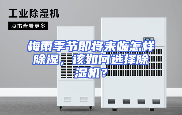 梅雨季节即将来临怎样除湿，该如何选择除湿机？