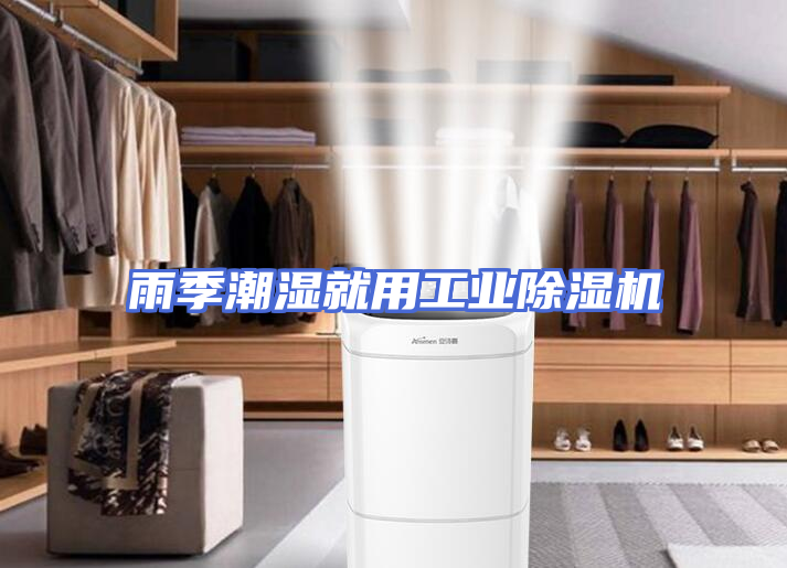 雨季潮湿就用工业除湿机