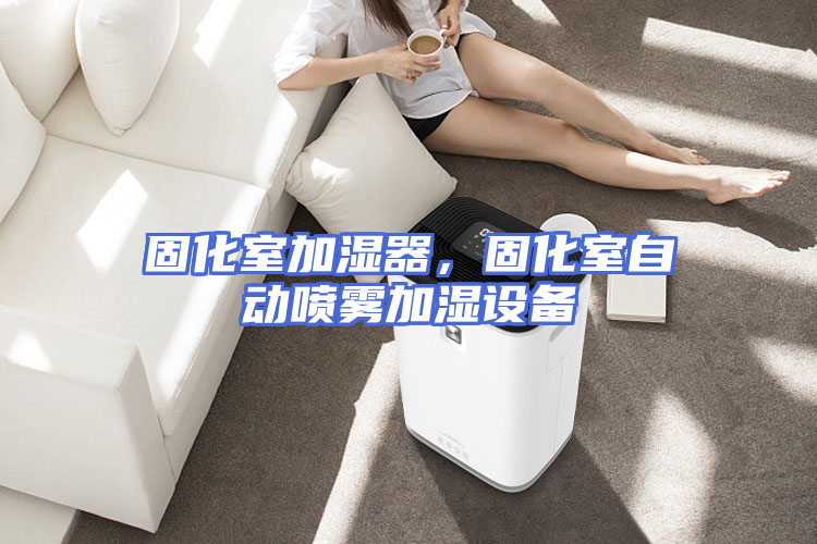 固化室加湿器，固化室自动喷雾加湿设备