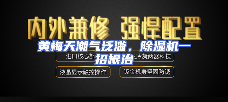 黄梅天潮气泛滥，除湿机一招根治
