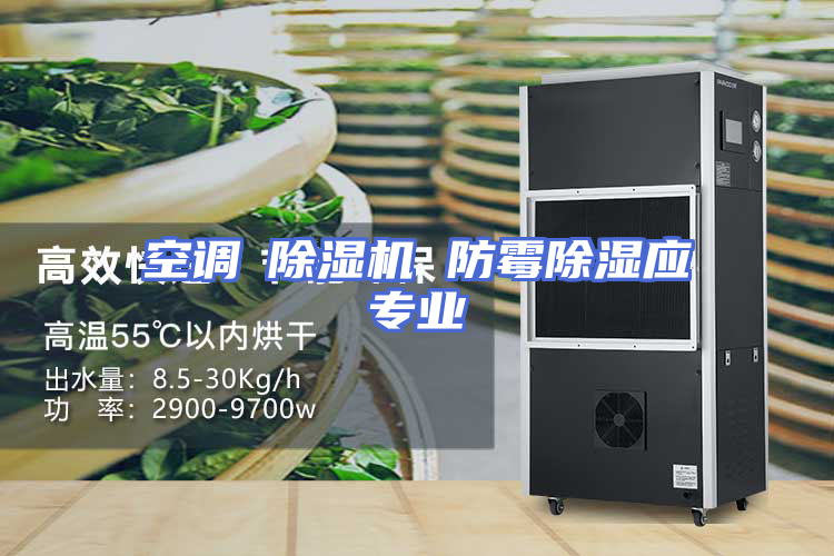 空调≠除湿机 防霉除湿应专业