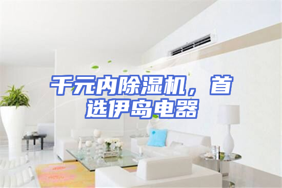 千元内除湿机，首选伊岛电器