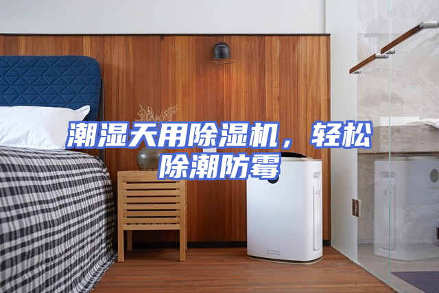 潮湿天用除湿机，轻松除潮防霉