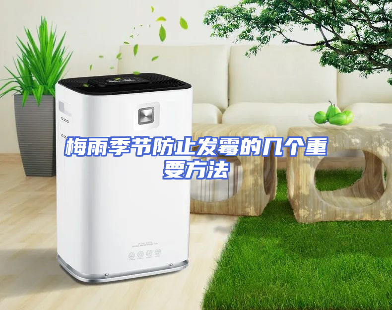 梅雨季节防止发霉的几个重要方法
