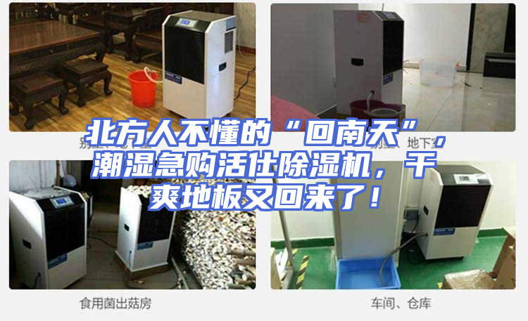 北方人不懂的“回南天”，潮湿急购活仕除湿机，干爽地板又回来了！
