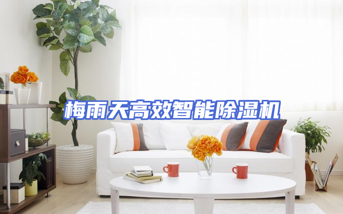 梅雨天高效智能除湿机
