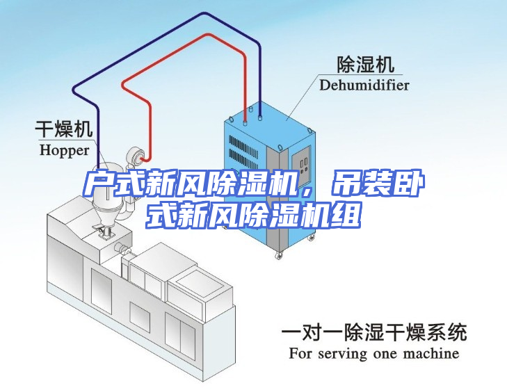 户式新风除湿机，吊装卧式新风除湿机组