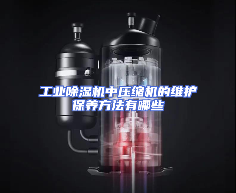 工业除湿机中压缩机的维护保养方法有哪些