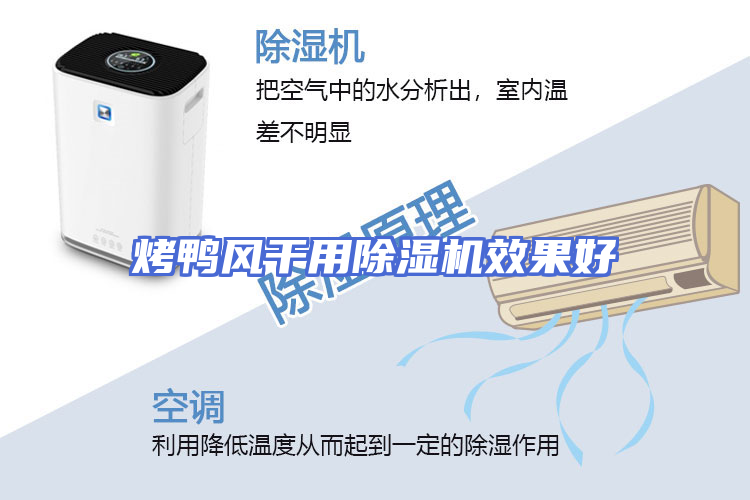 烤鸭风干用除湿机效果好