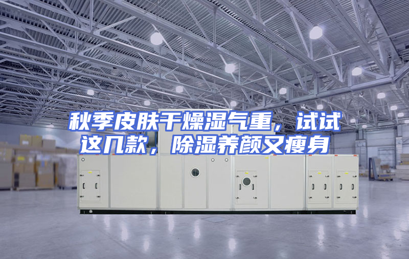 秋季皮肤干燥湿气重，试试这几款，除湿养颜又瘦身