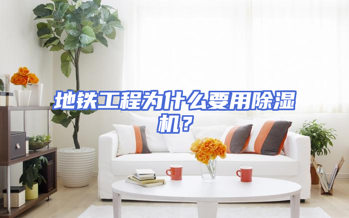地铁工程为什么要用除湿机？