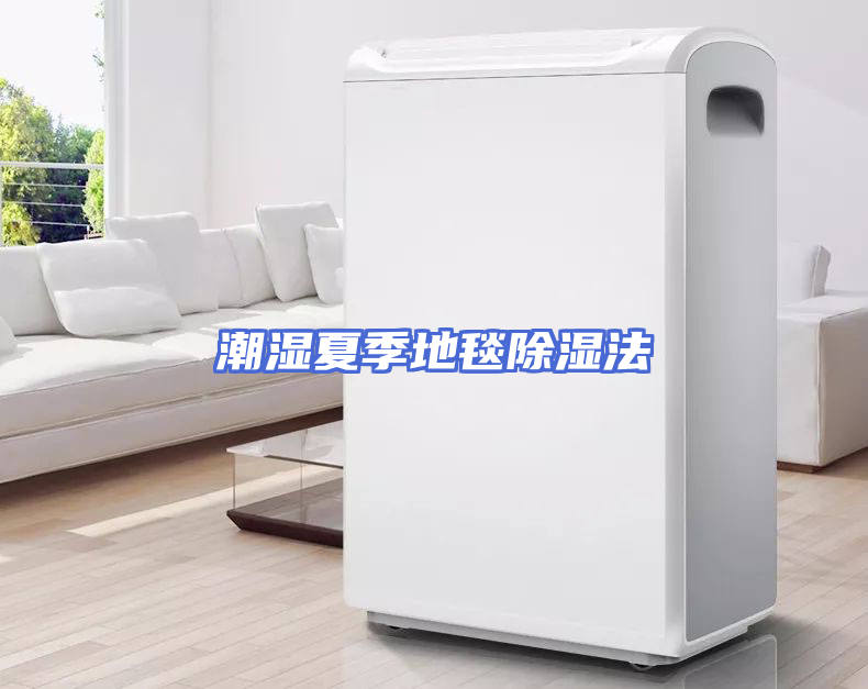 潮湿夏季地毯除湿法