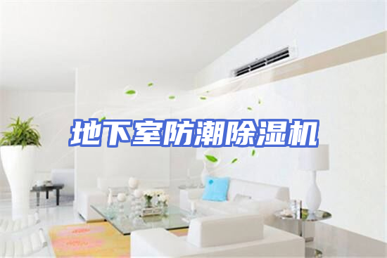 地下室防潮除湿机