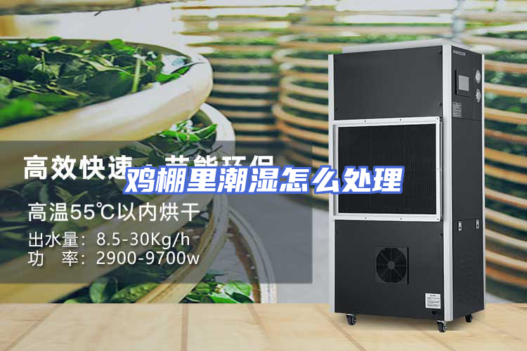 鸡棚里潮湿怎么处理