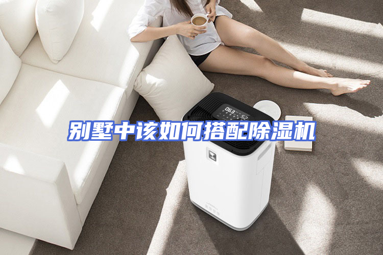 别墅中该如何搭配除湿机