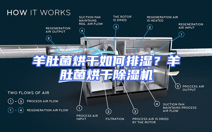羊肚菌烘干如何排湿？羊肚菌烘干除湿机