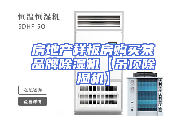 房地产样板房购买某品牌除湿机【吊顶除湿机】