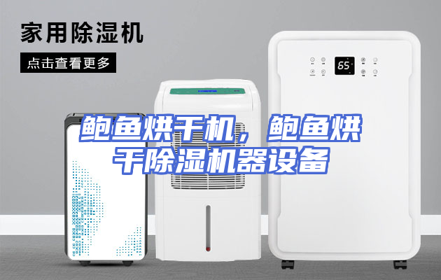 鲍鱼烘干机，鲍鱼烘干除湿机器设备