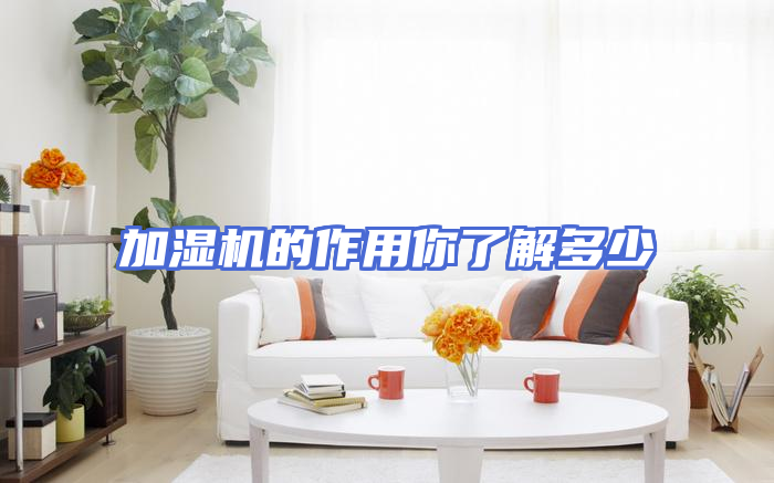加湿机的作用你了解多少