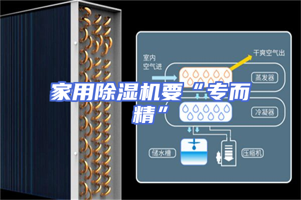 家用除湿机要“专而精”