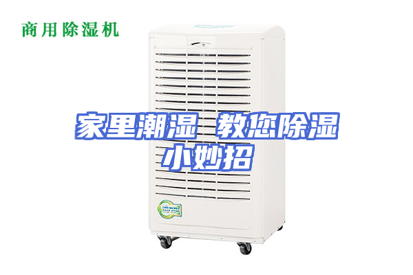 家里潮湿 教您除湿小妙招