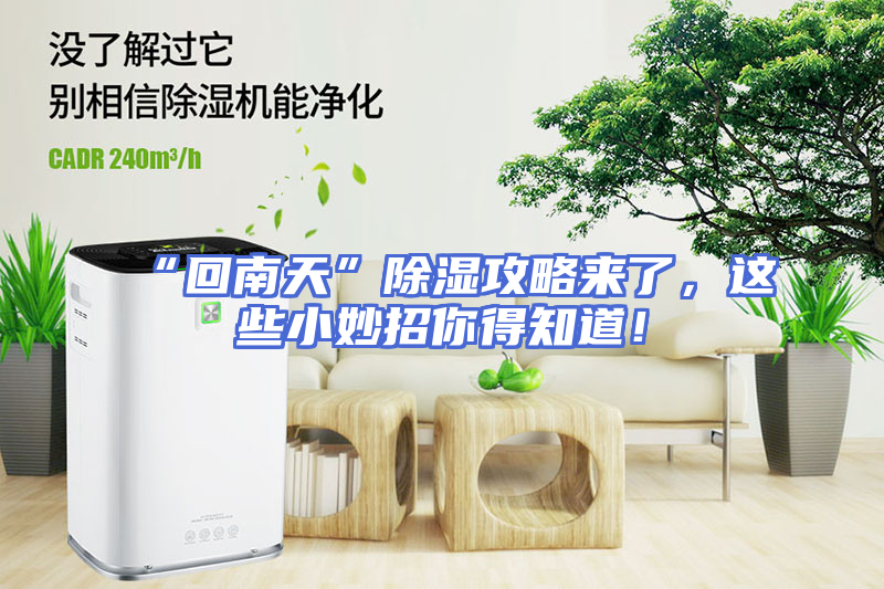 “回南天”除湿攻略来了，这些小妙招你得知道！