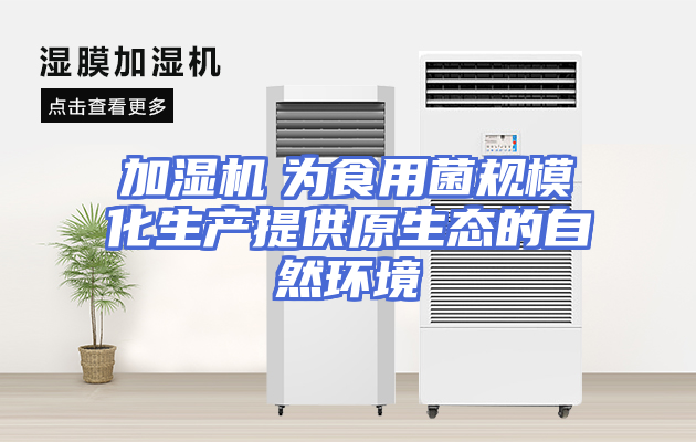 加湿机　为食用菌规模化生产提供原生态的自然环境