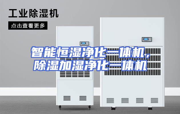 智能恒湿净化一体机，除湿加湿净化一体机