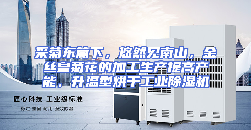 采菊东篱下，悠然见南山，金丝皇菊花的加工生产提高产能，升温型烘干工业除湿机