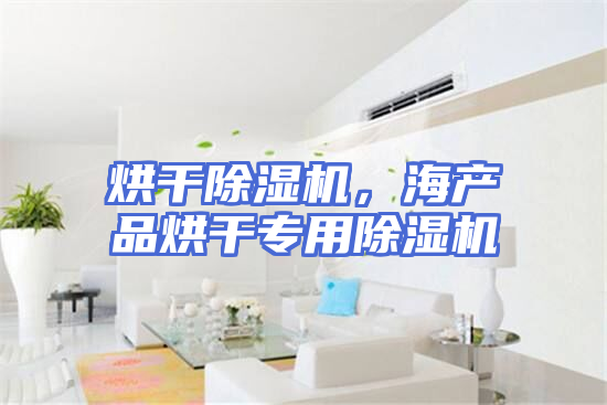 烘干除湿机，海产品烘干专用除湿机