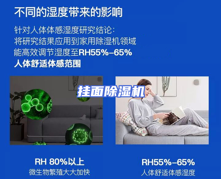 挂面除湿机