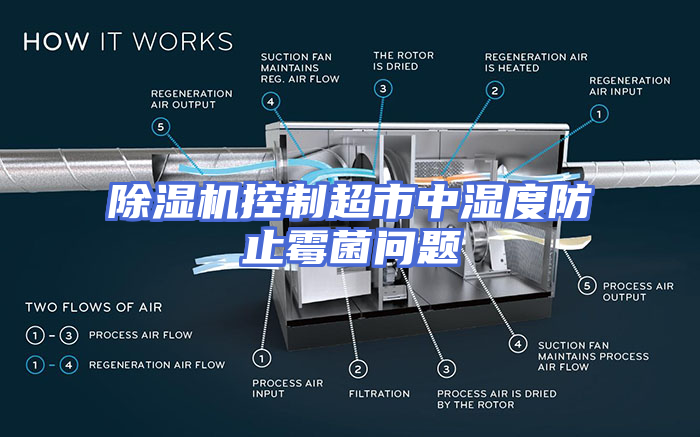 除湿机控制超市中湿度防止霉菌问题