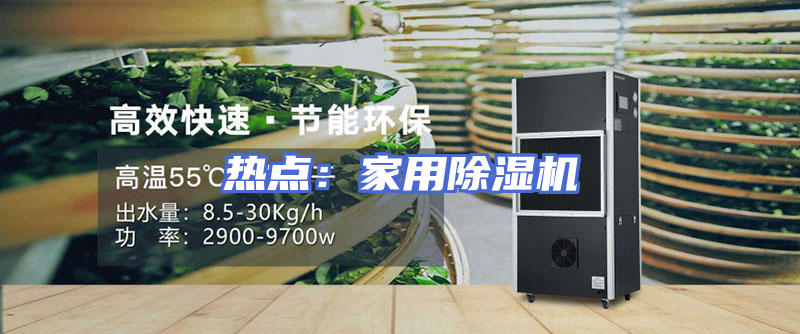 热点：家用除湿机