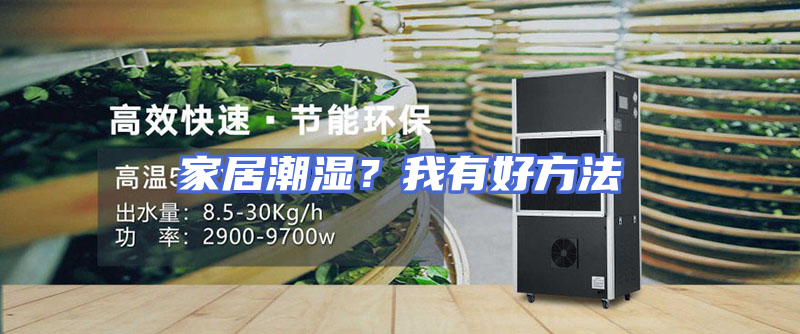 家居潮湿？我有好方法