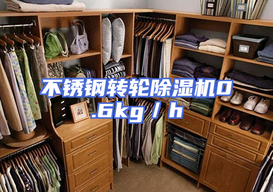 不锈钢转轮除湿机0.6kg／h