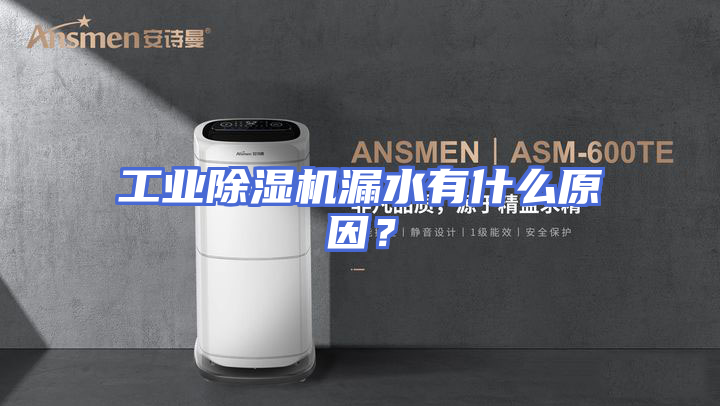 工业除湿机漏水有什么原因？