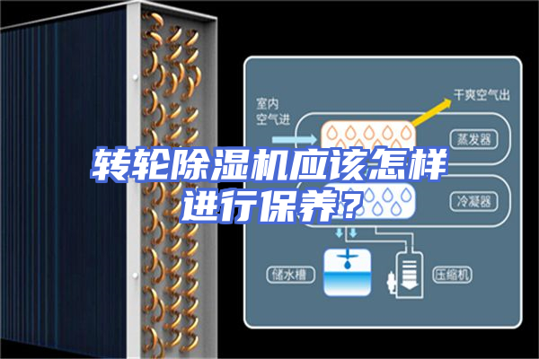 转轮除湿机应该怎样进行保养？