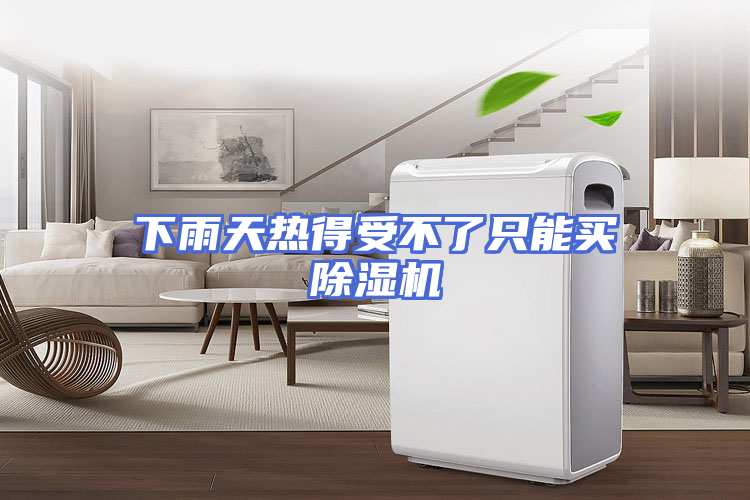 下雨天热得受不了只能买除湿机