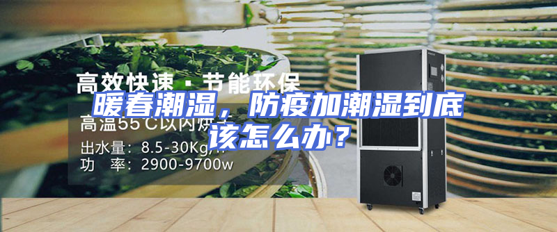 暖春潮湿，防疫加潮湿到底该怎么办？