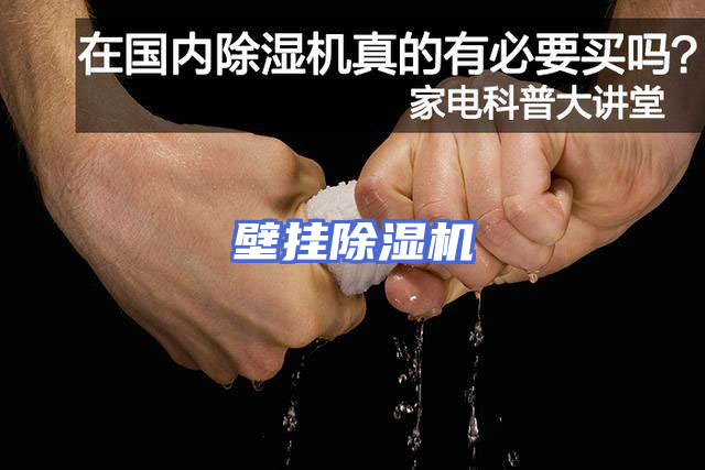 壁挂除湿机