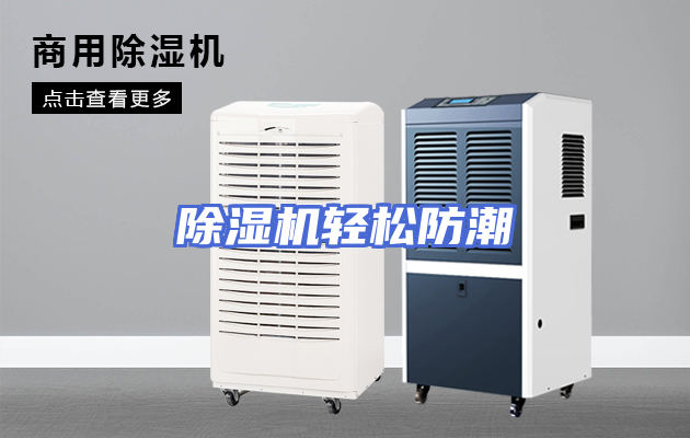 除湿机轻松防潮