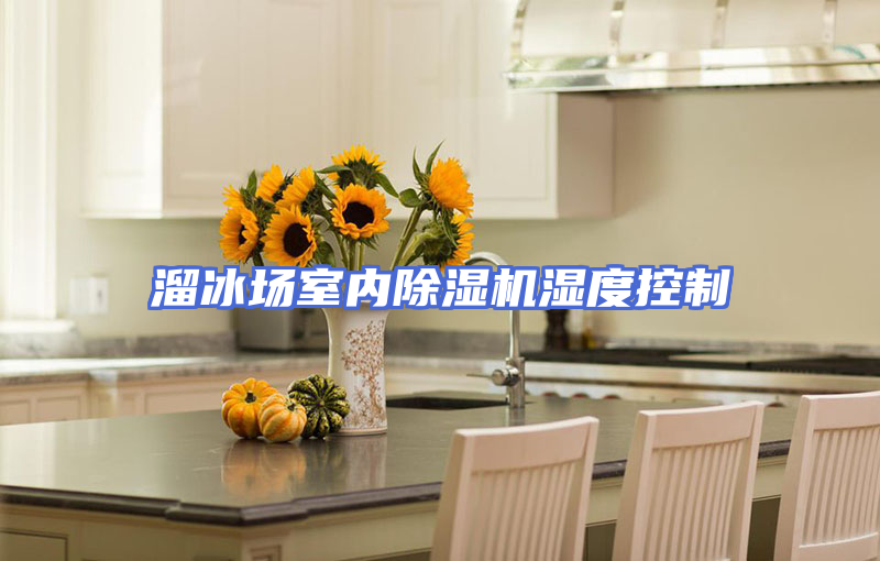 溜冰场室内除湿机湿度控制