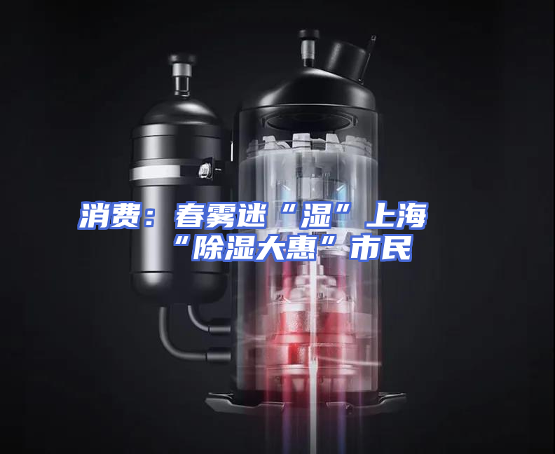 消费：春雾迷“湿”上海 “除湿大惠”市民