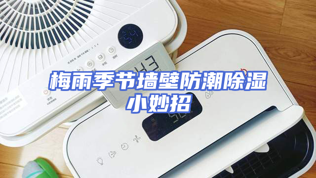 梅雨季节墙壁防潮除湿小妙招