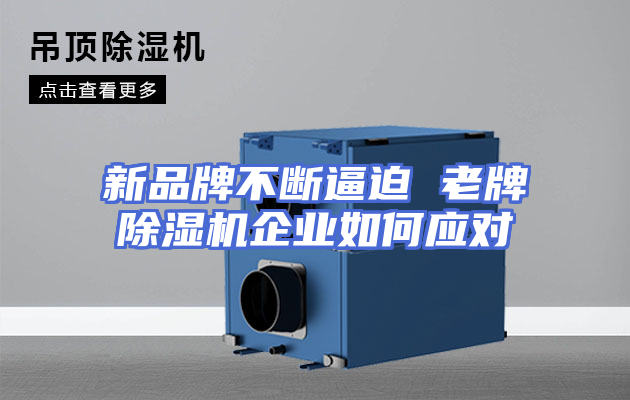 新品牌不断逼迫 老牌除湿机企业如何应对
