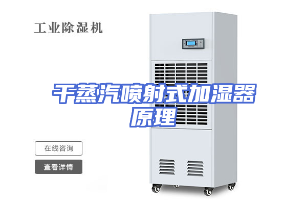 干蒸汽喷射式加湿器原理