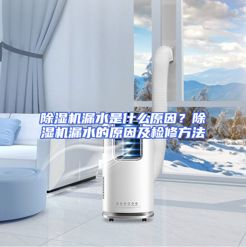 除湿机漏水是什么原因？除湿机漏水的原因及检修方法
