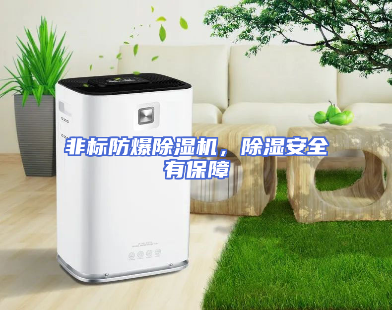 非标防爆除湿机，除湿安全有保障
